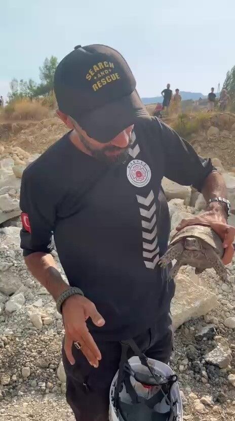 Kas Orman Yangini Kaplumbaga Koyun Kurtarildi4