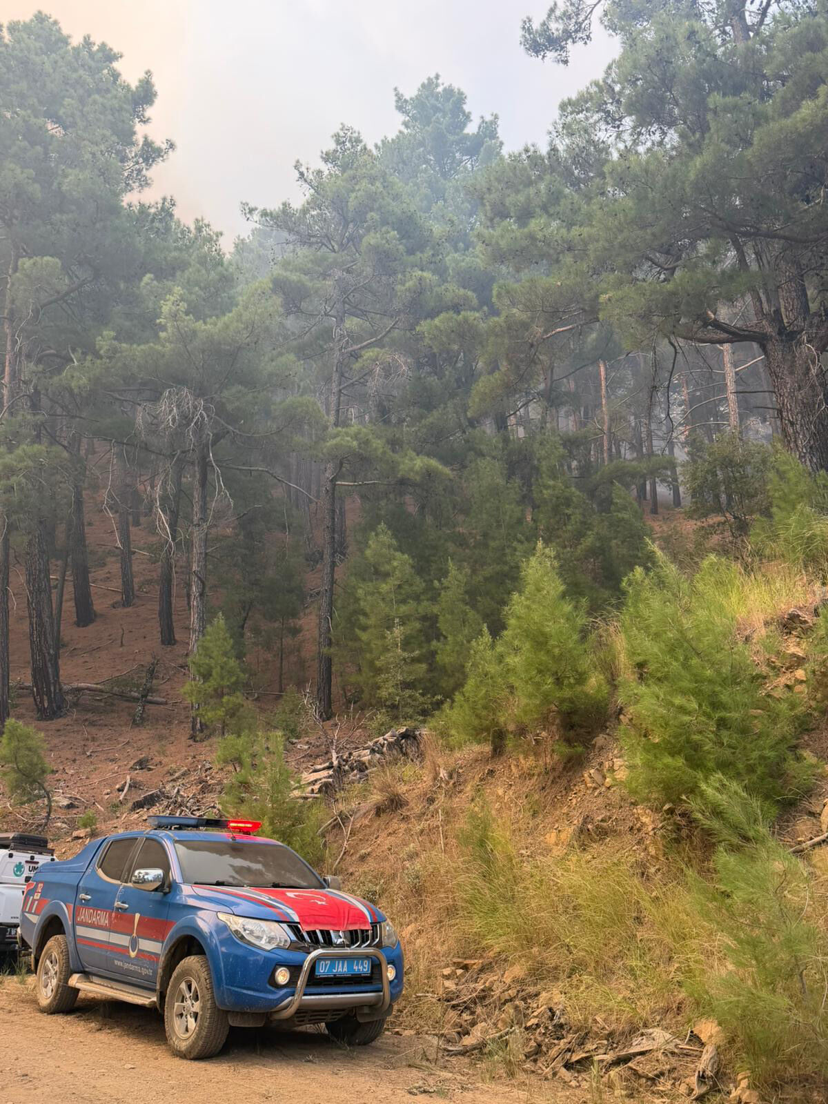 Manavgat Orman Yangini Kontrol Altinda1