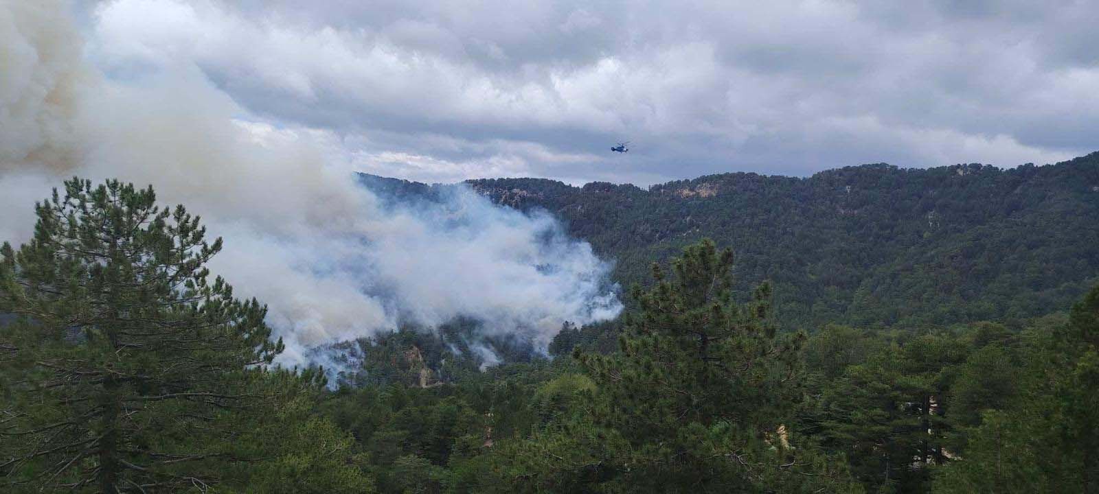 Manavgat Orman Yangini Kontrol Altinda3