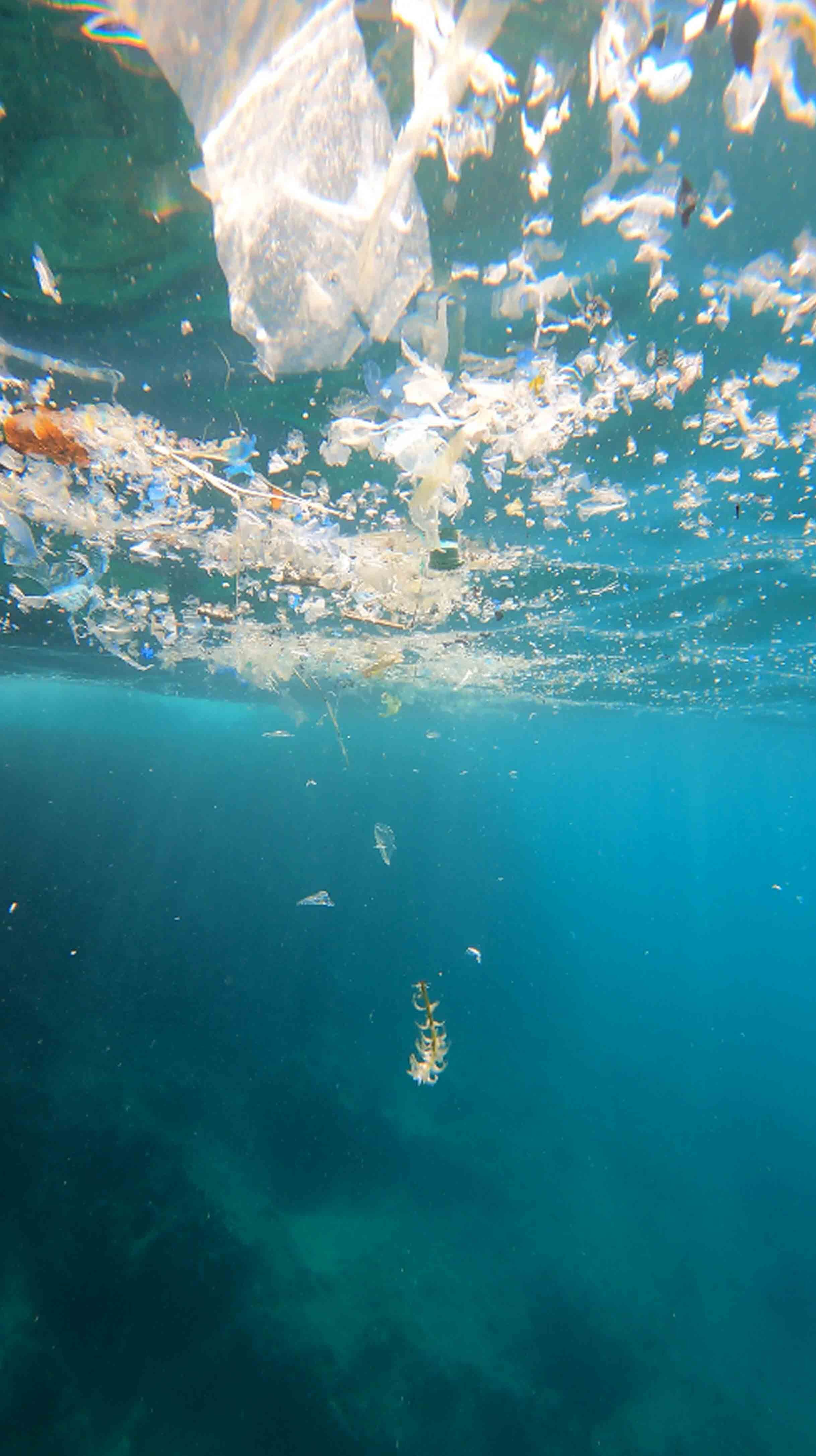 Mikroplastik Kşrlilik Akdeniz2