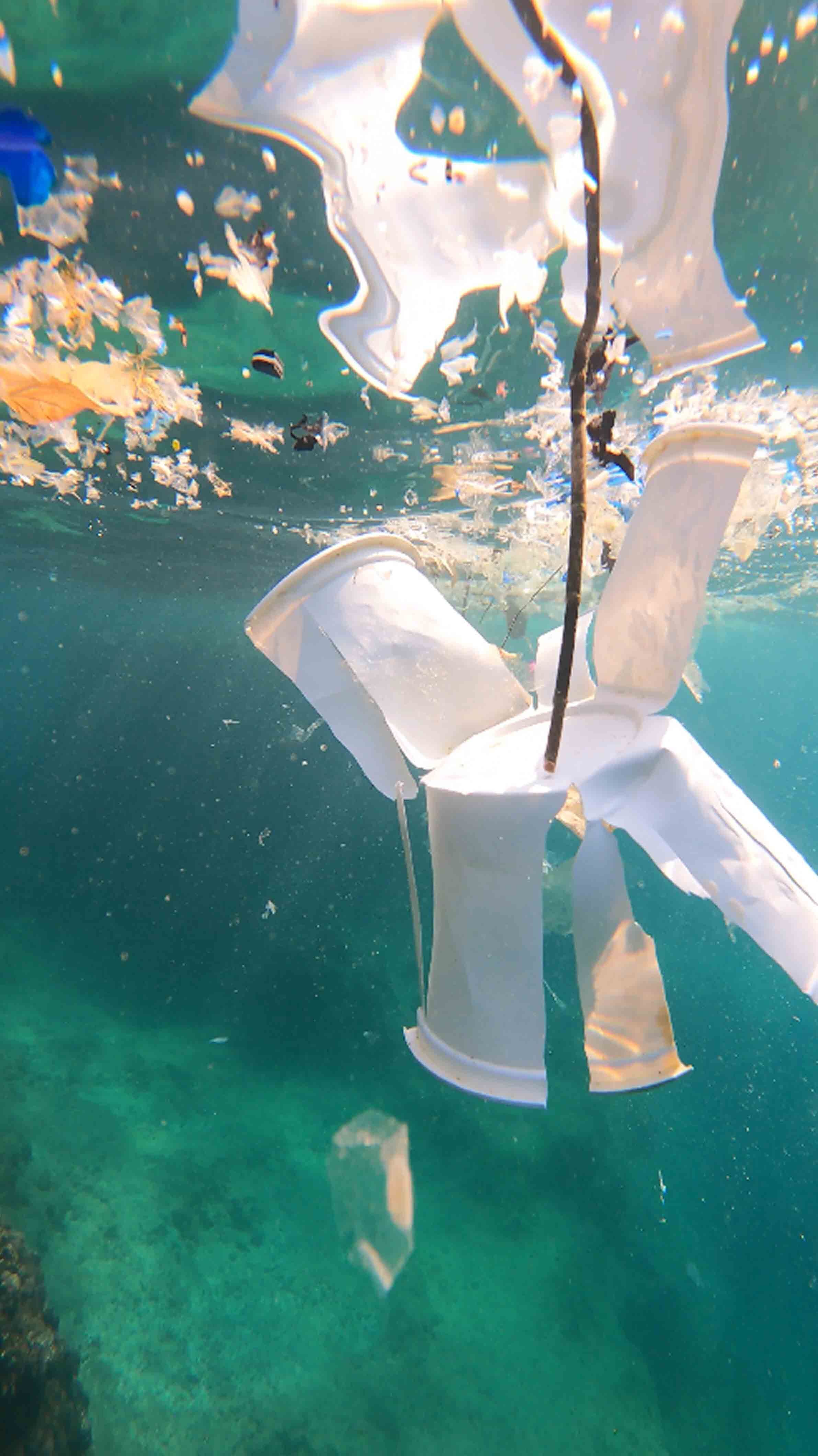 Mikroplastik Kşrlilik Akdeniz3