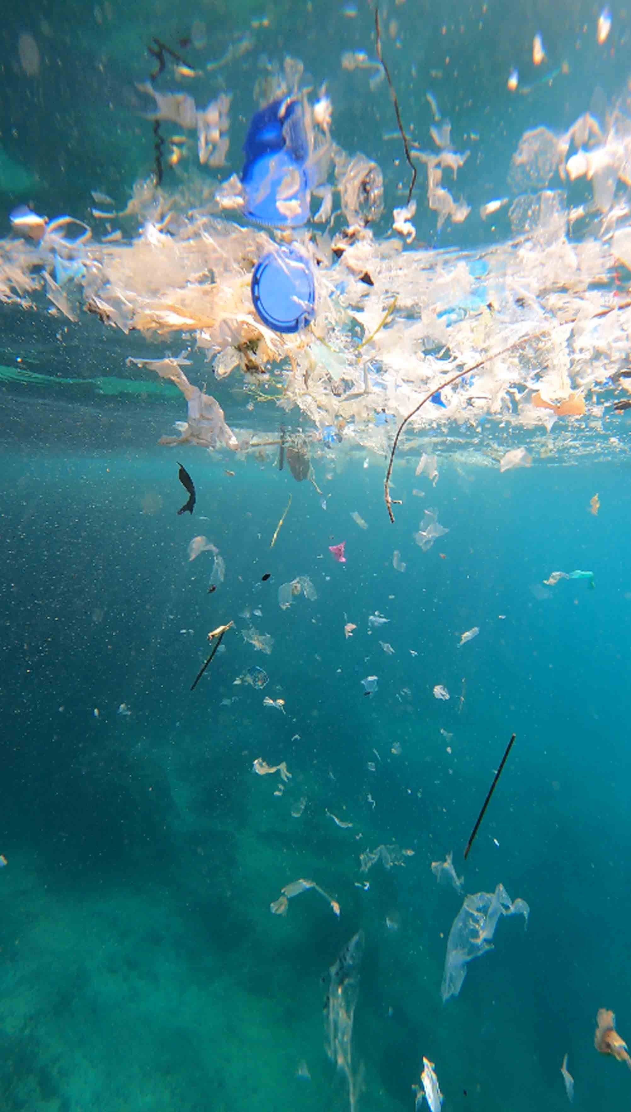 Mikroplastik Kşrlilik Akdeniz4