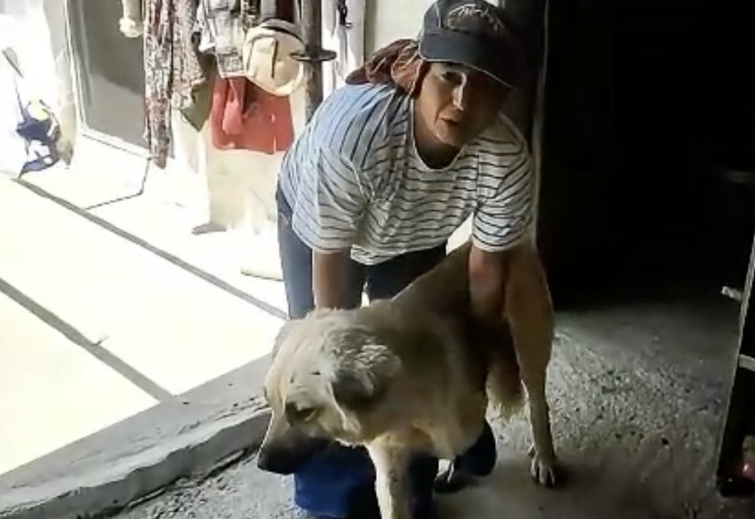 Serik Kursun Sakat Coban Kopegi3