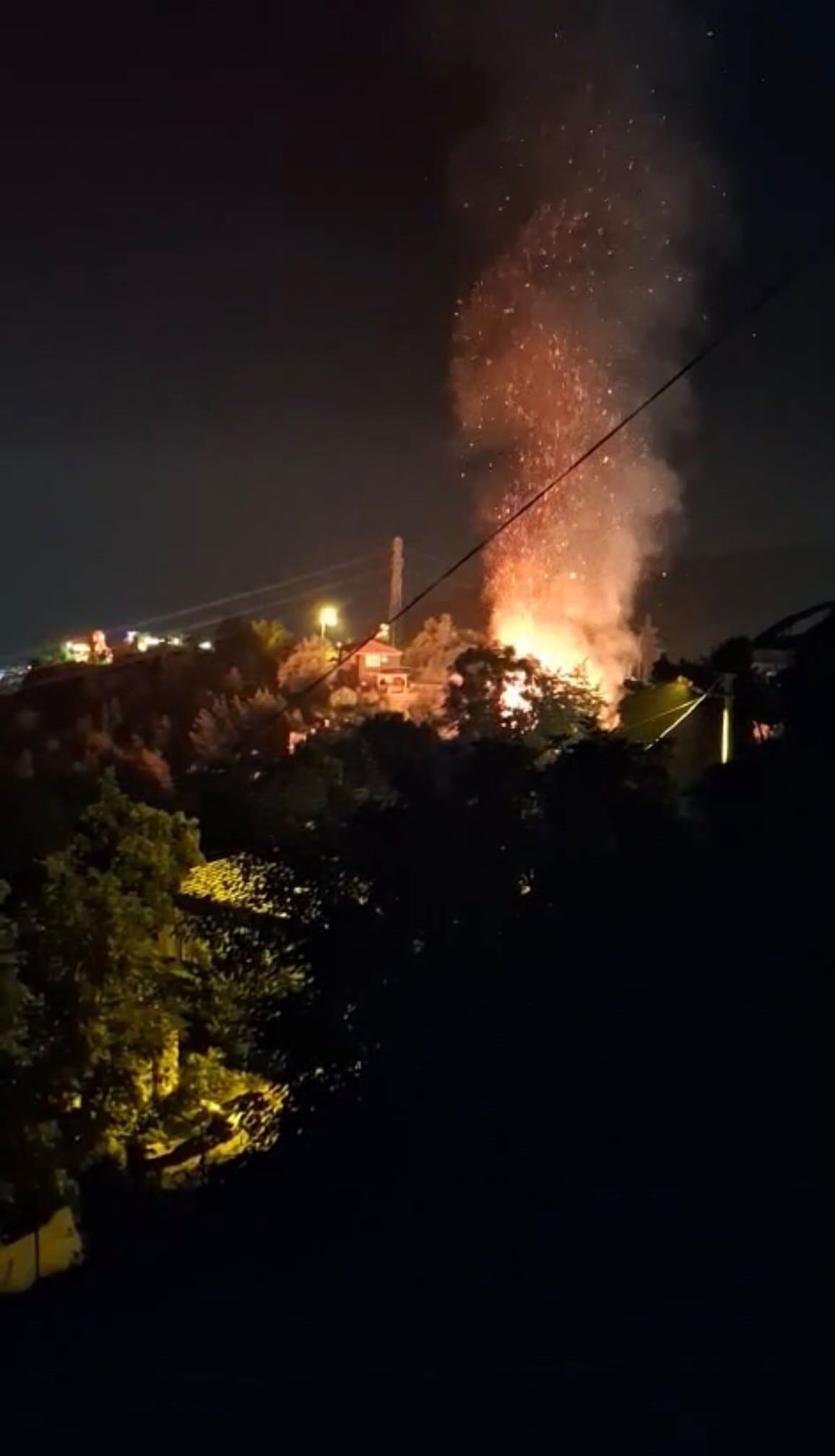 Tepe Basi Alanya Sazlik Alan Yangini