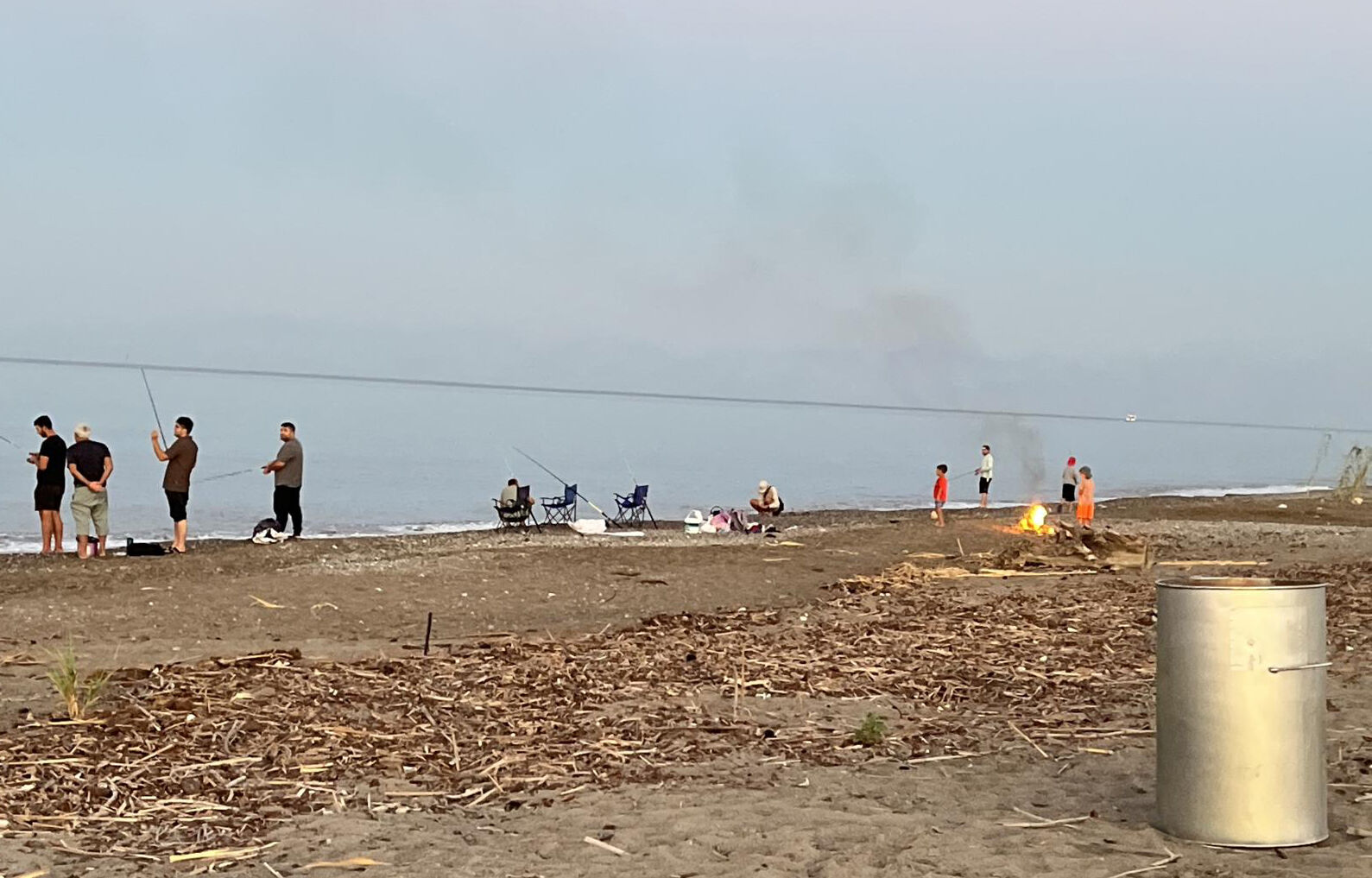 Yavru Caretta Kumsal Ates Olu Bulundu6