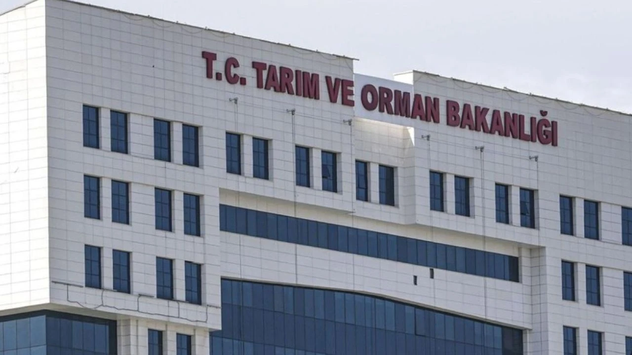 Tarım Orman
