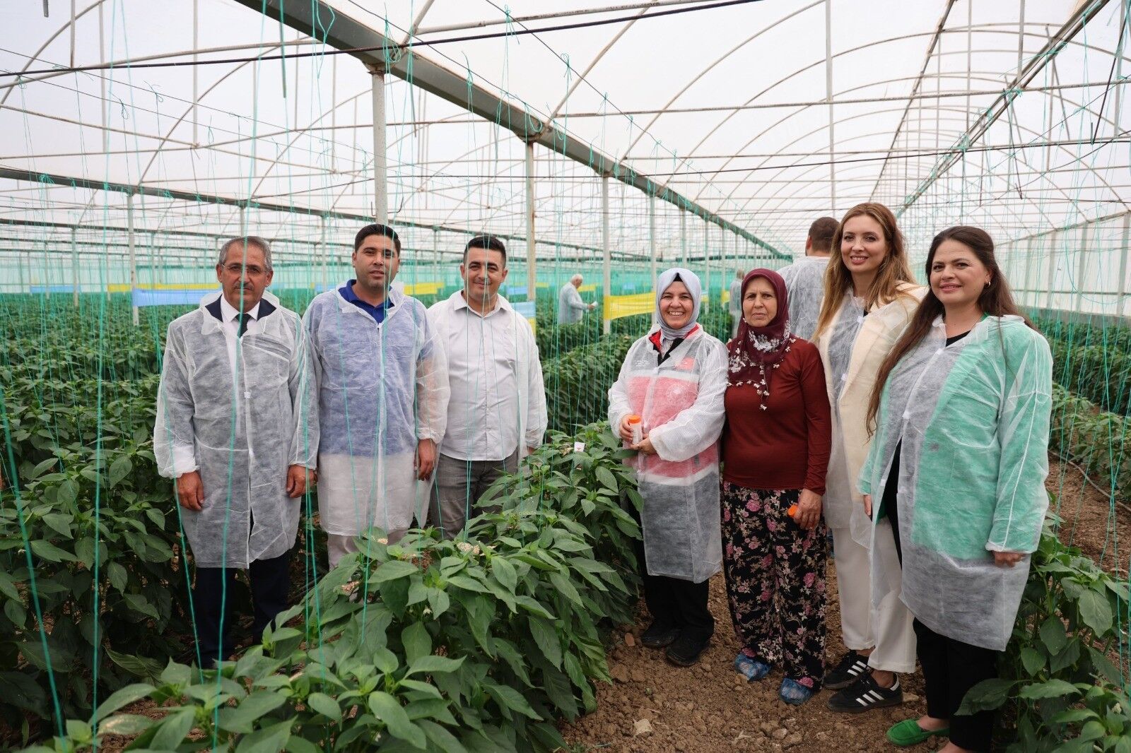 Aksu Biyolojik Mucadele Tarim Sera Antalya4
