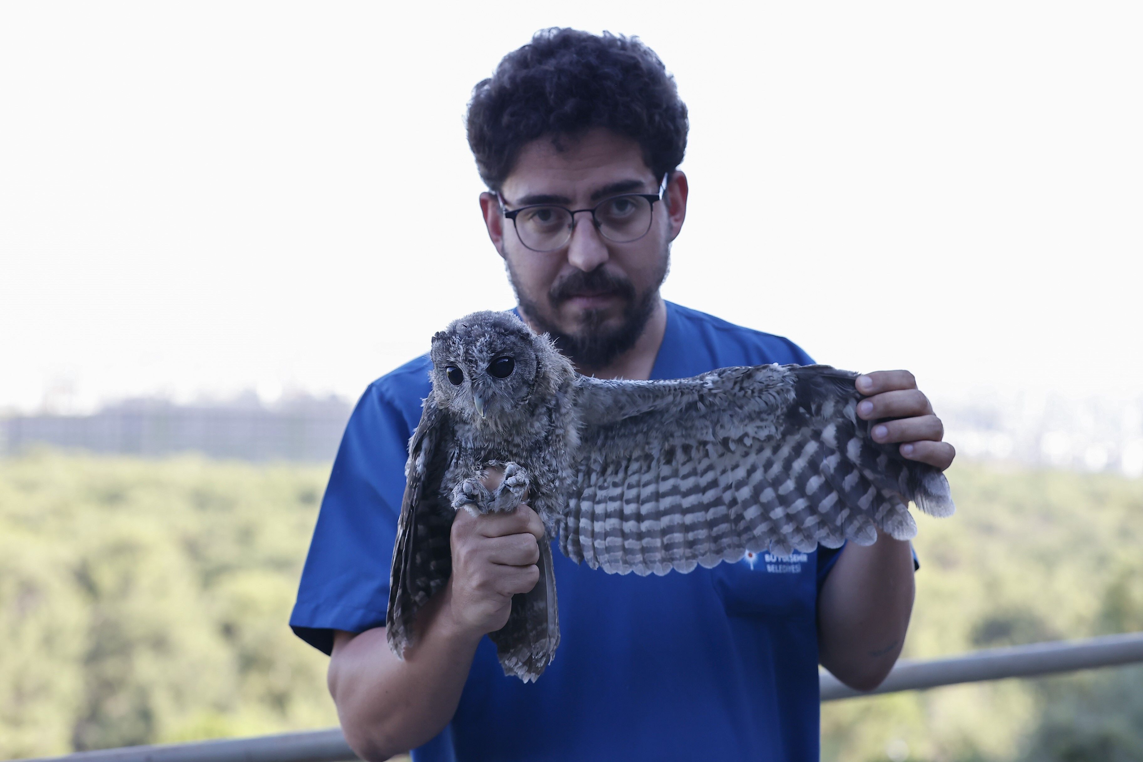 Alaca Baykus Rehabilitasyon