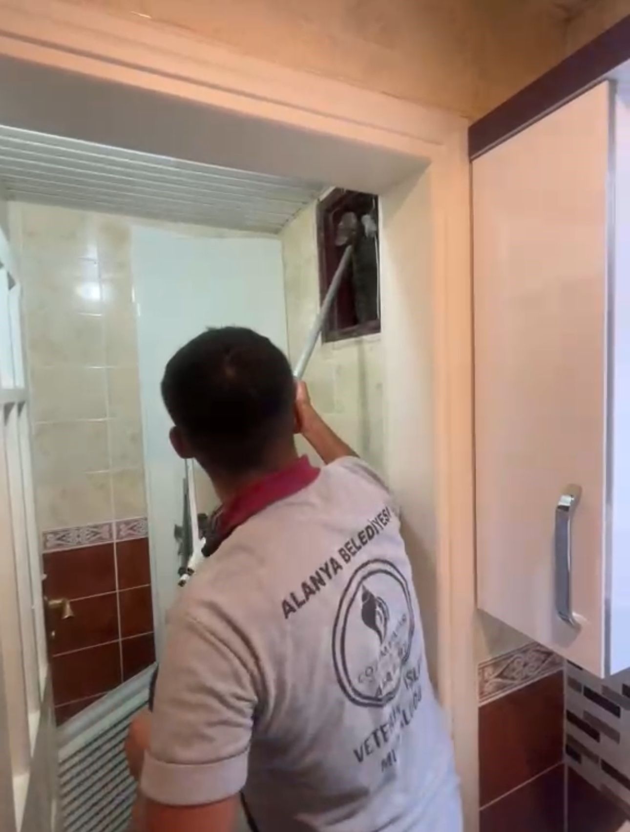 Alanya Havalandirma Kedi Kurtarildi