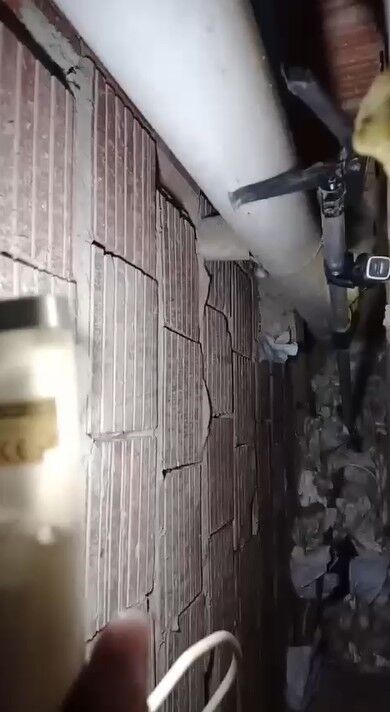 Alanya Havalandirma Kedi Kurtarildi4