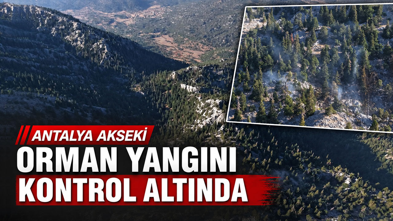 Antalya'nın Akseki ilçesinde çıkan orman yangını kontrol altında