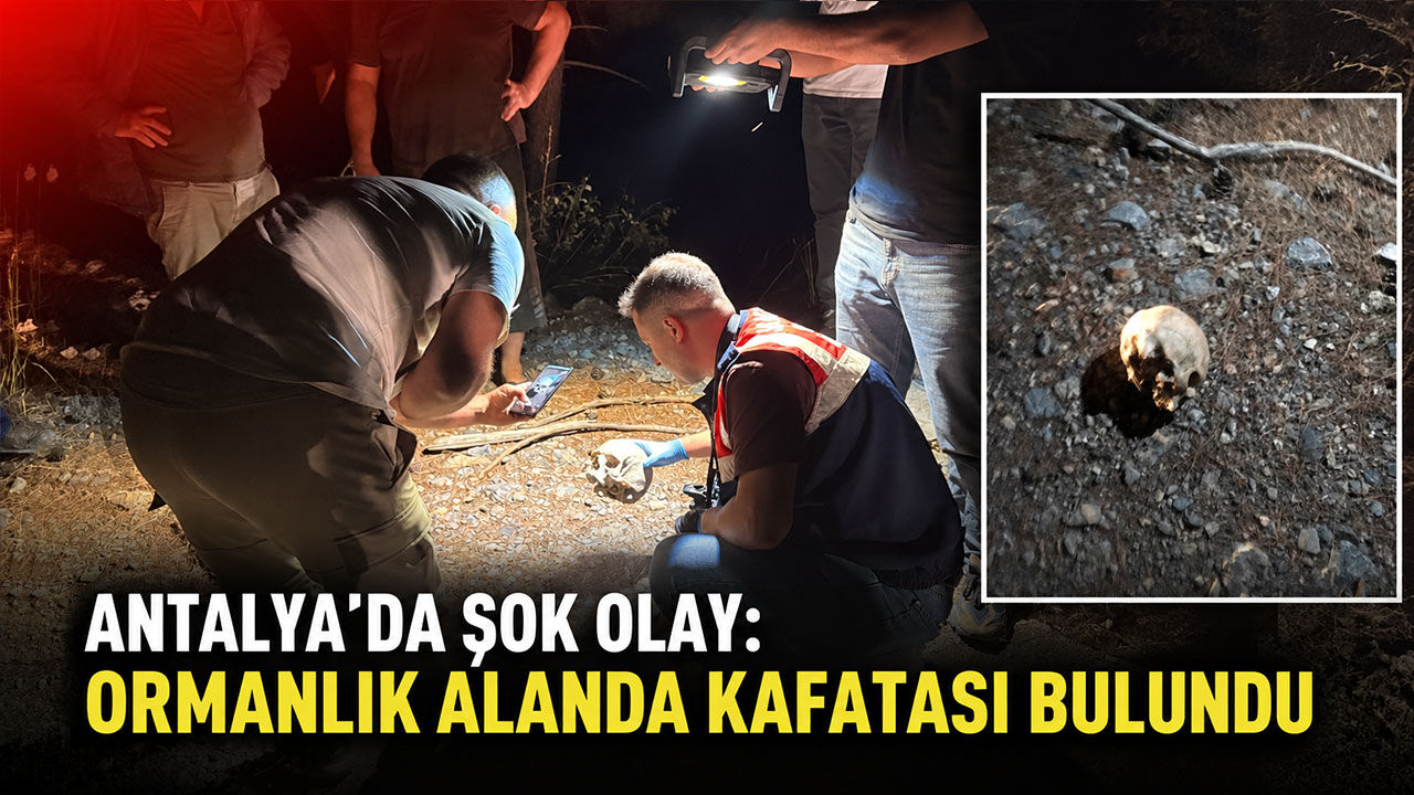 Antalya'da şok olay: Ormanlık alanda kafatası bulundu