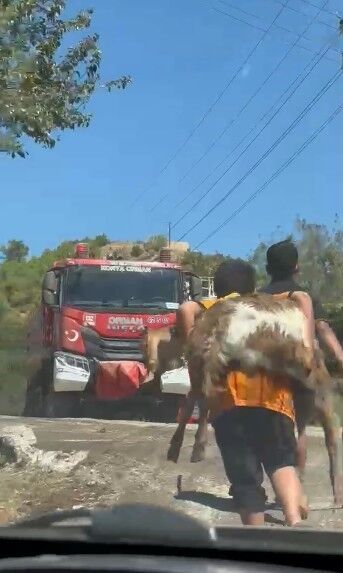 Antalya Serik Oglak Yangin Sirtinda Tasidi5