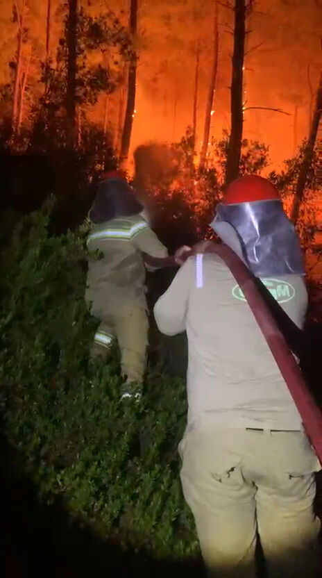 Antalya Serik Yangin Enerjisi Dusuruldu3