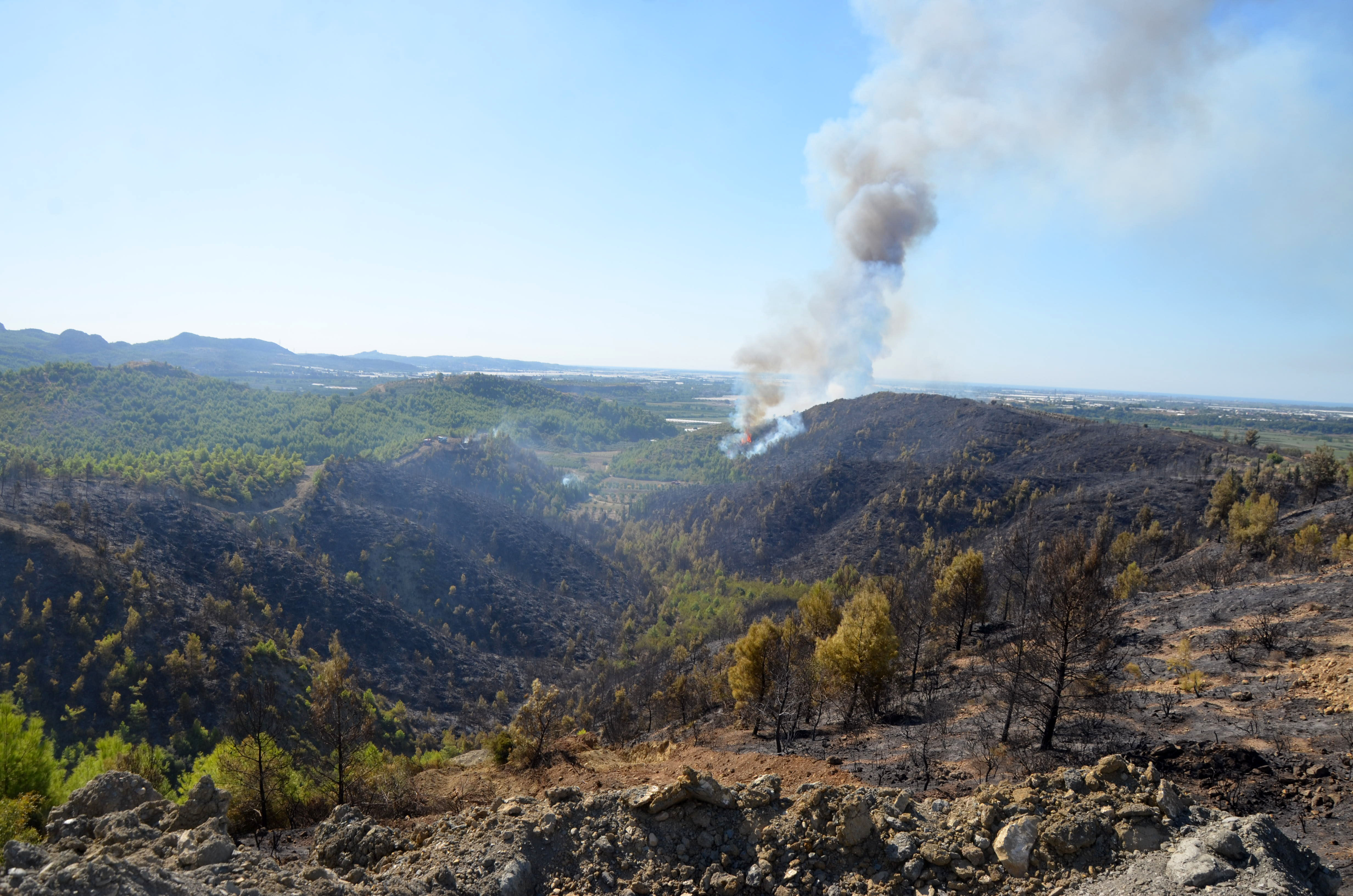 Antalya Serik Yangini Kontrol Altinda 6 Ev Yandi7