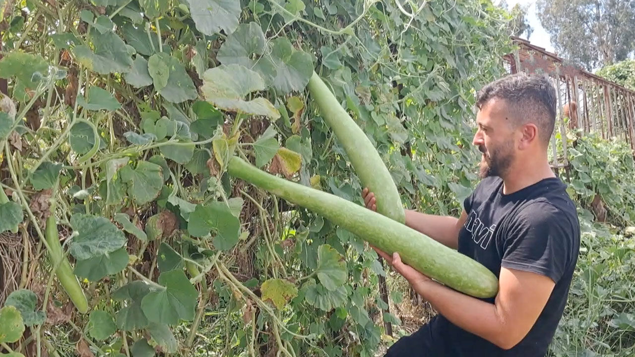 Kabak Serik Antalya 1