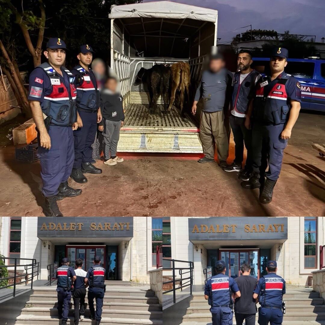 Korkuteli Antalya Hayvan Hirsizligi