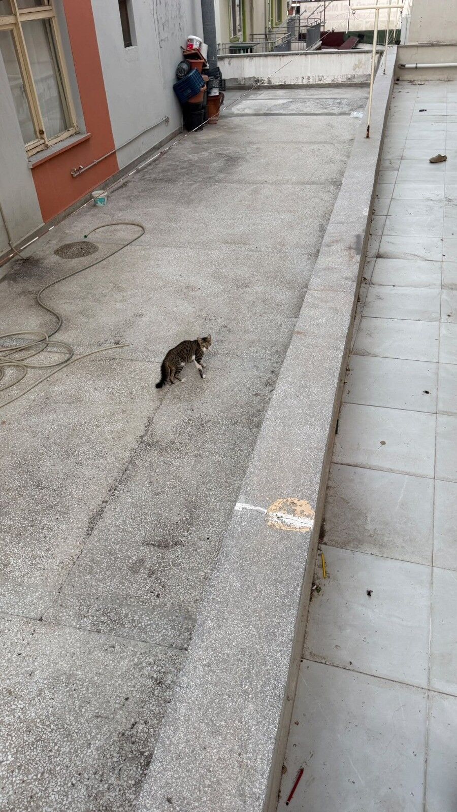 Manavgat Su Gideri Mahsur Kalan Kedi Kurtarildi3