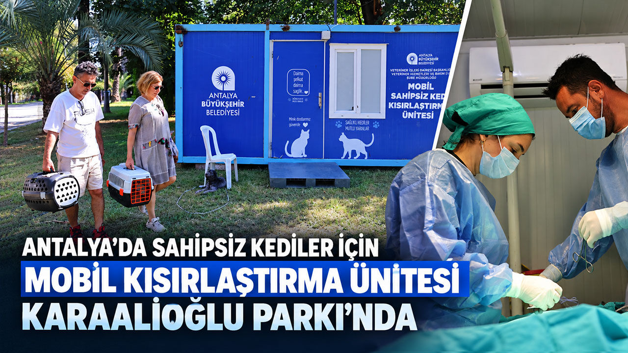 Antalya’da sahipsiz kediler için mobil kısırlaştırma ünitesi Karaalioğlu Parkı’nda