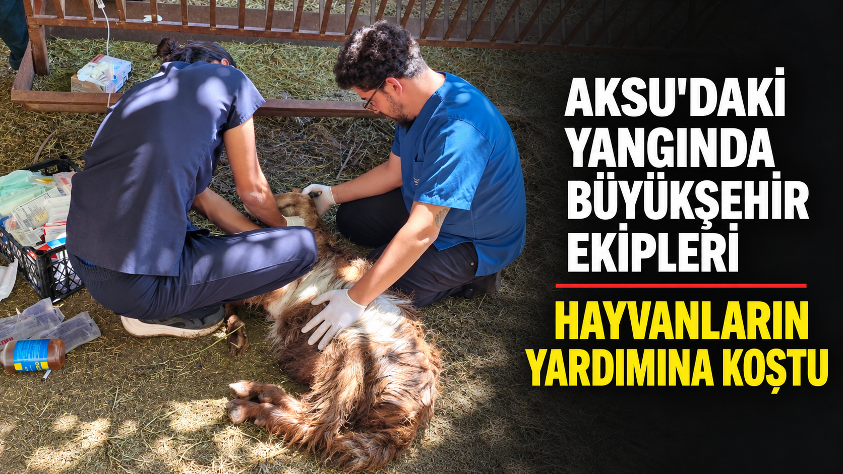 Aksu'daki yangında büyükşehir ekipleri hayvanların yardımına koştu