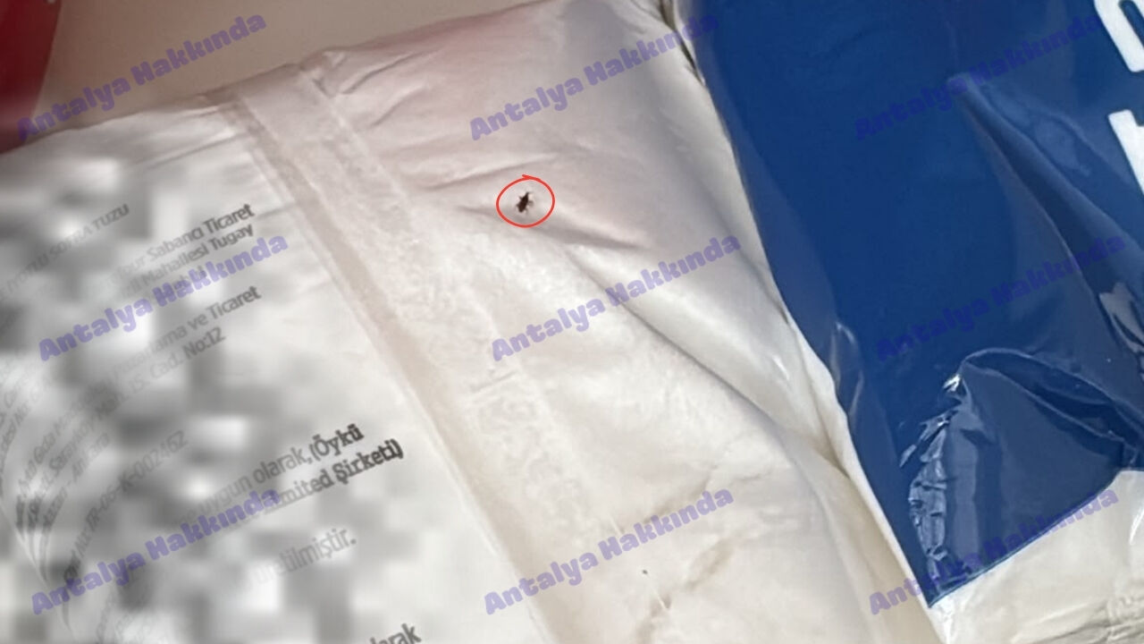 Kapalı Paket Böcek