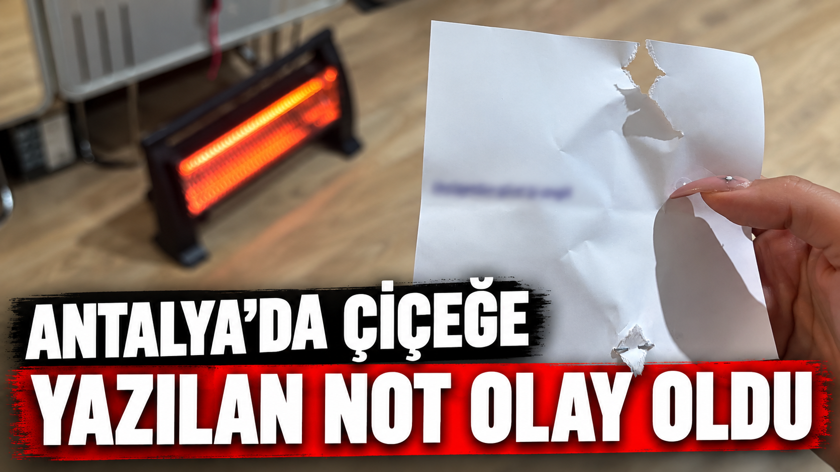 Antalya'da çiçeğe yazılan not olay oldu