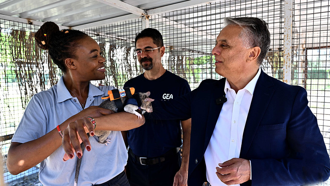 Afrika Keseli Sicani Arama Kurtarma Muratpasa Antalya1