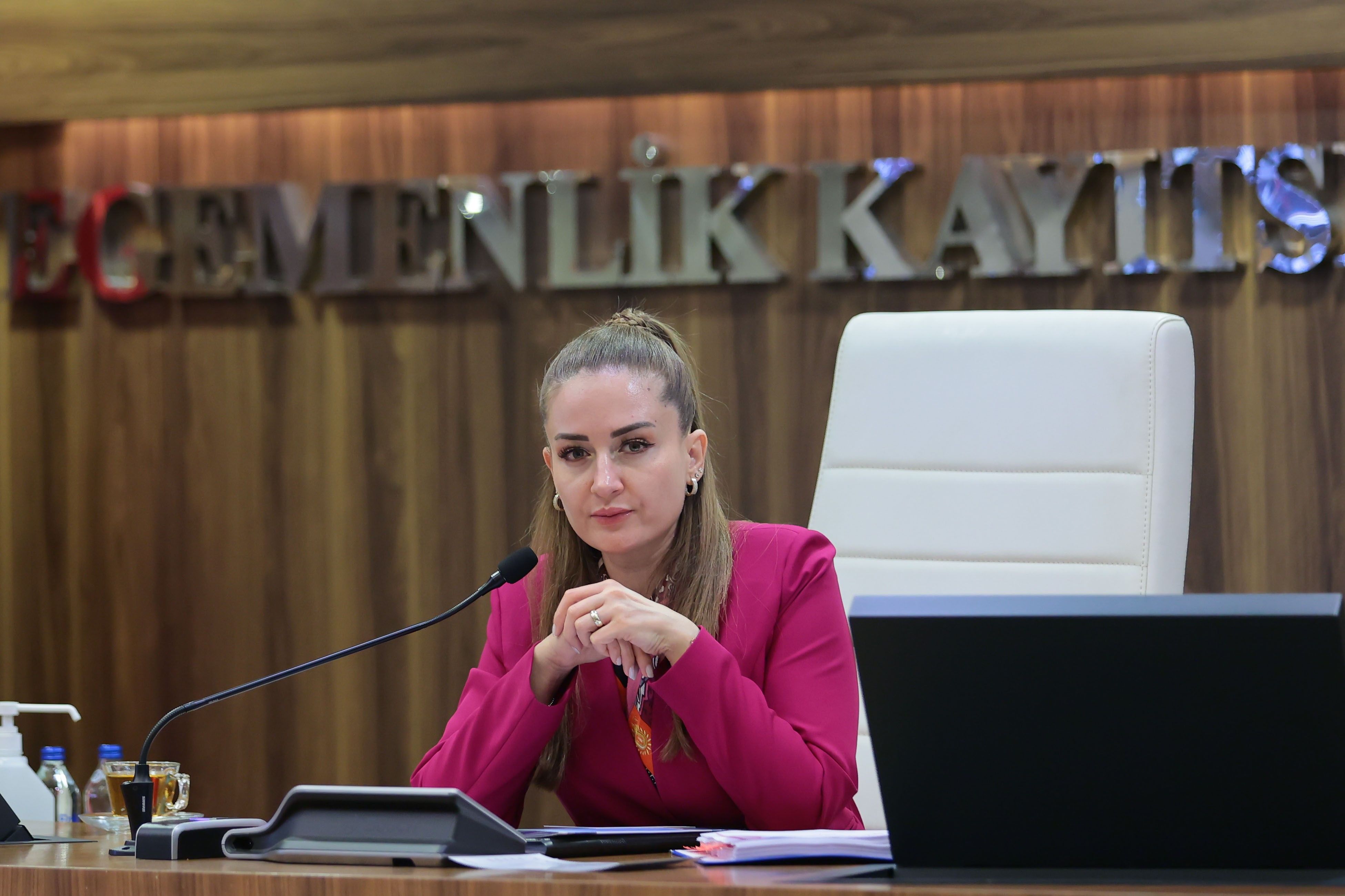 Altintas Yagmur Suyu Projesi