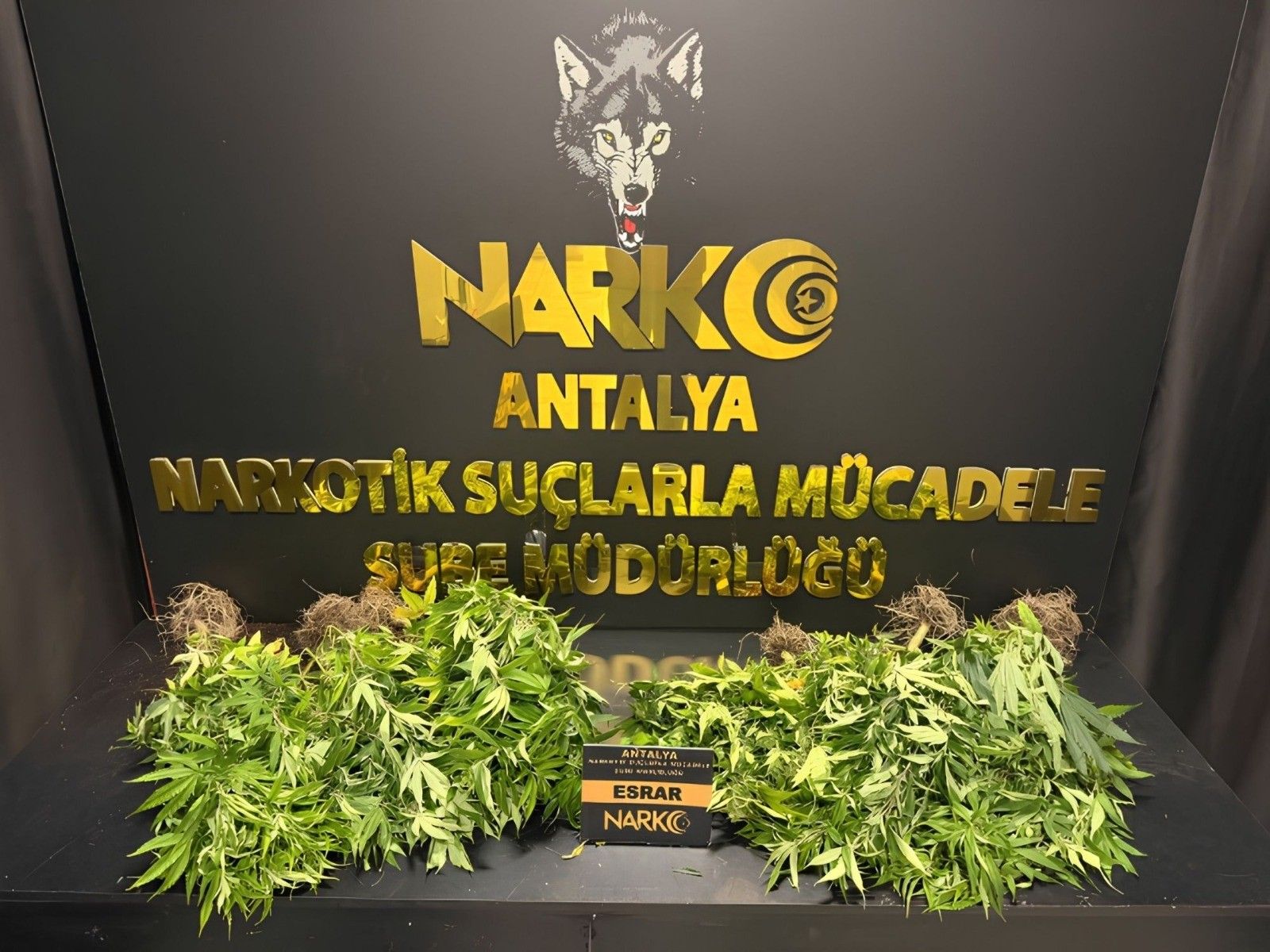 Antalya 32 Narkotik Operasyon