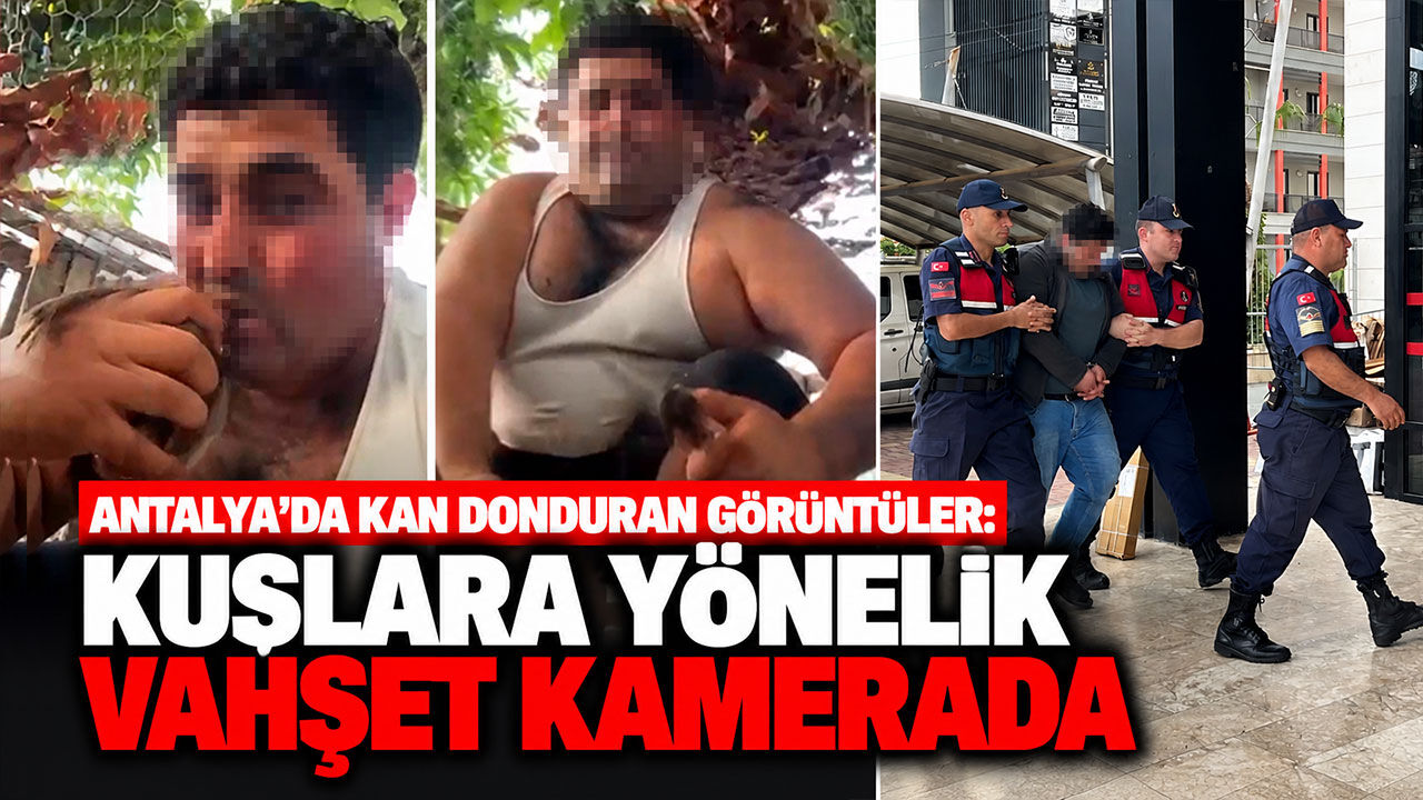 Antalya’da kan donduran görüntüler: Kuşlara yönelik vahşet kamerada