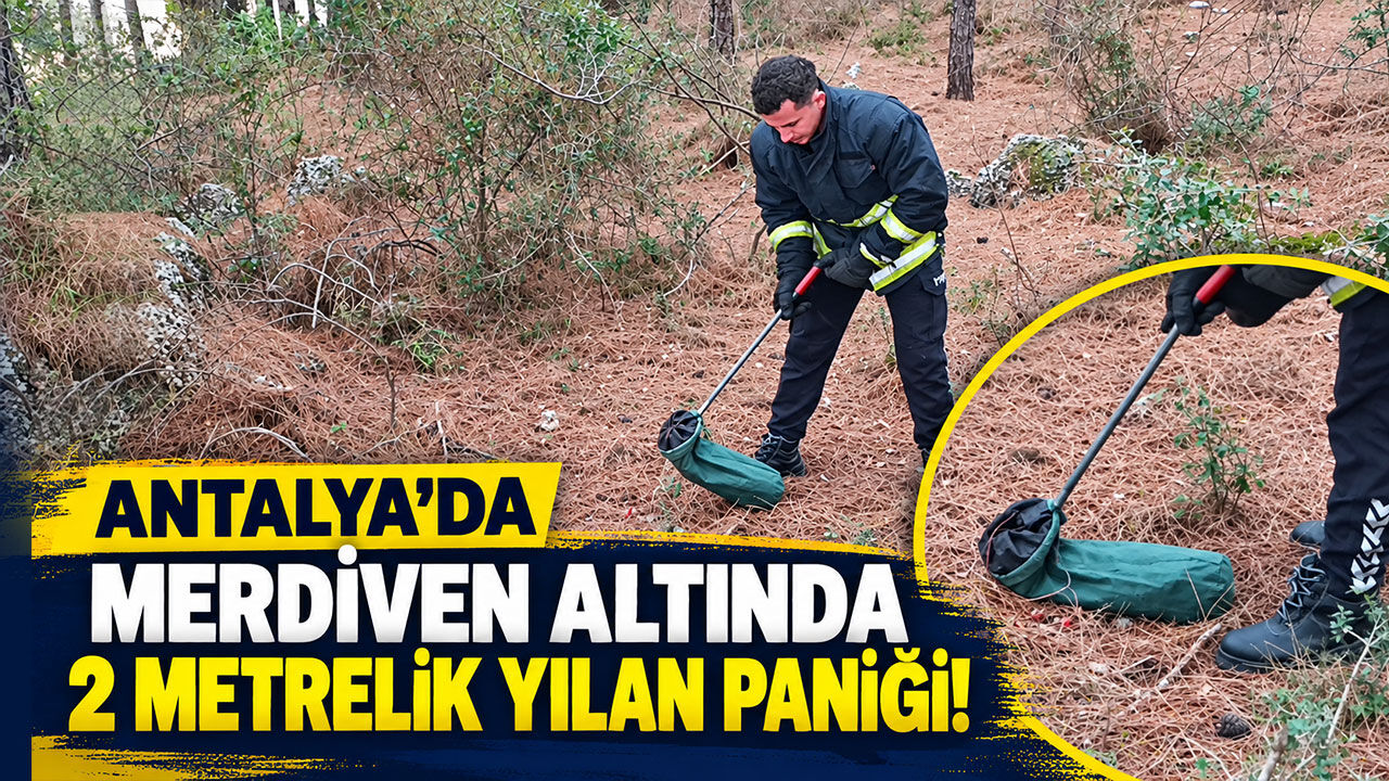 Antalya’da merdiven altında 2 metrelik yılan paniği!