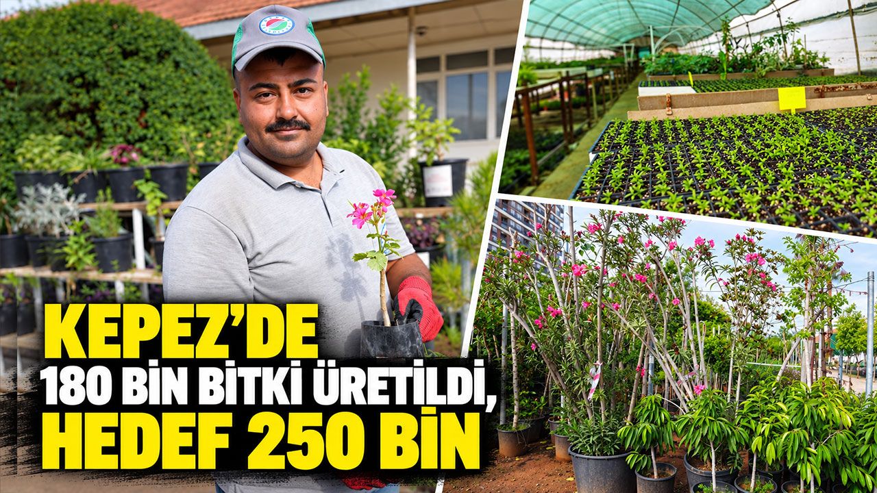 Antalya'nın Kepez ilçesinde 180 bin bitki üretildi, hedef 250 bin