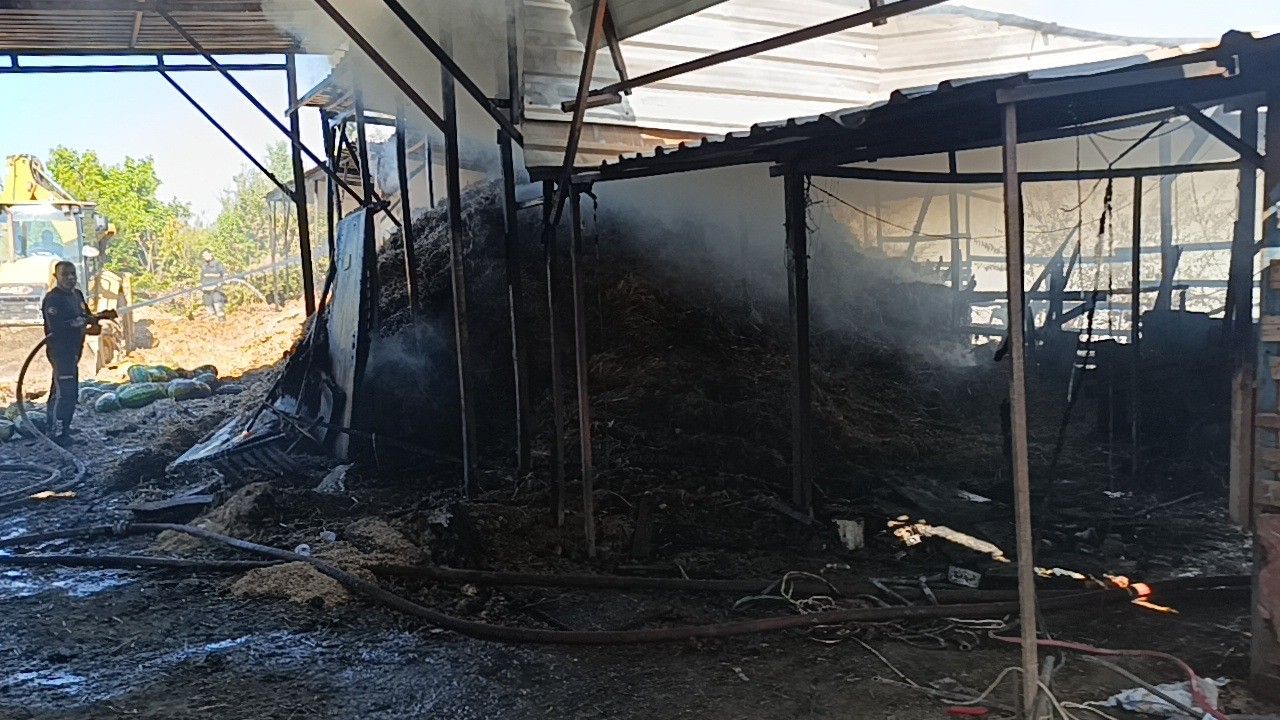 Manavgat Ahir Yangin Hayvanlar Telef Oldu