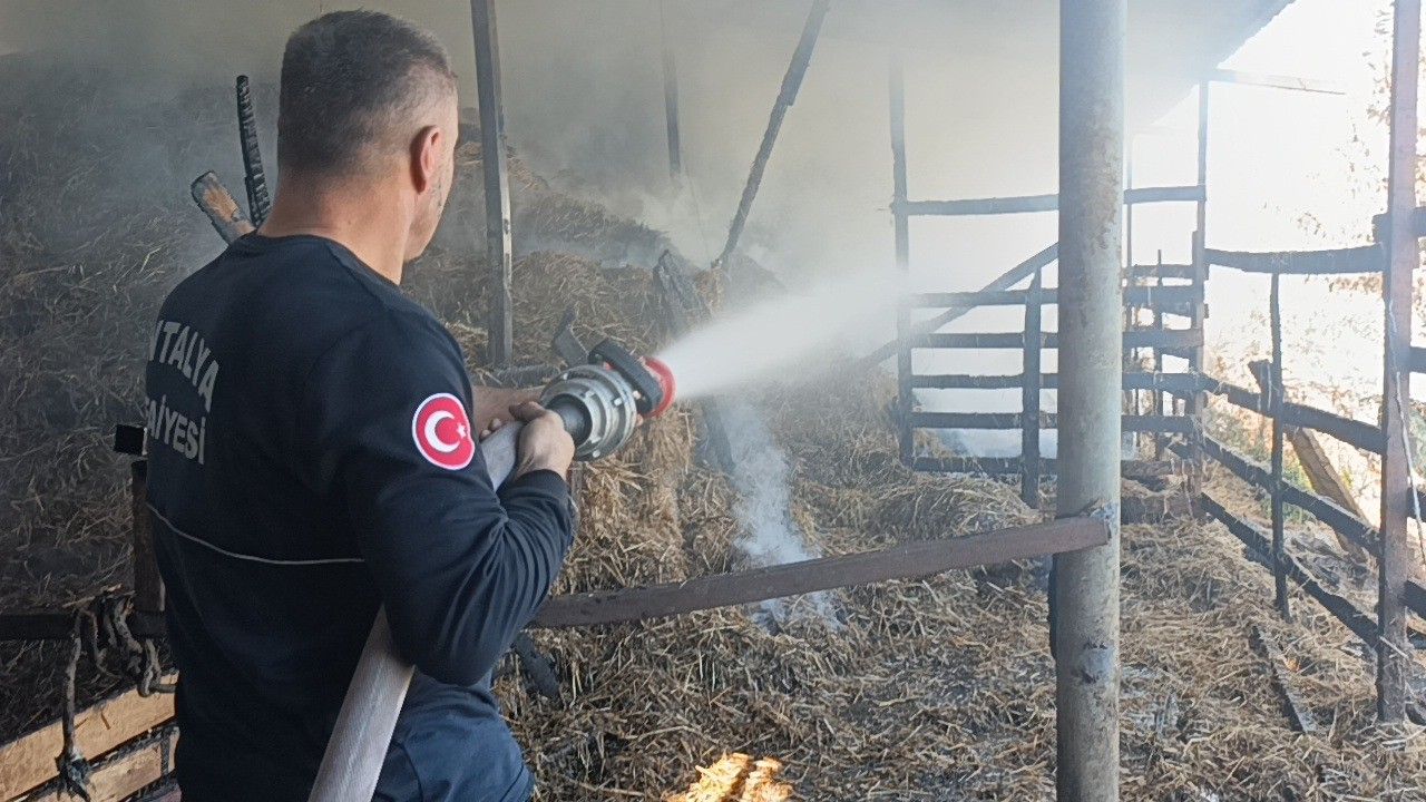 Manavgat Ahir Yangin Hayvanlar Telef Oldu6