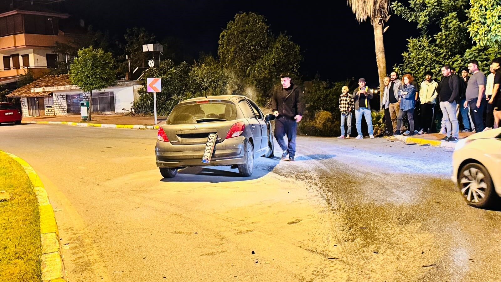 Manavgat Kaza Otomobil Palmiyeye Carpti4