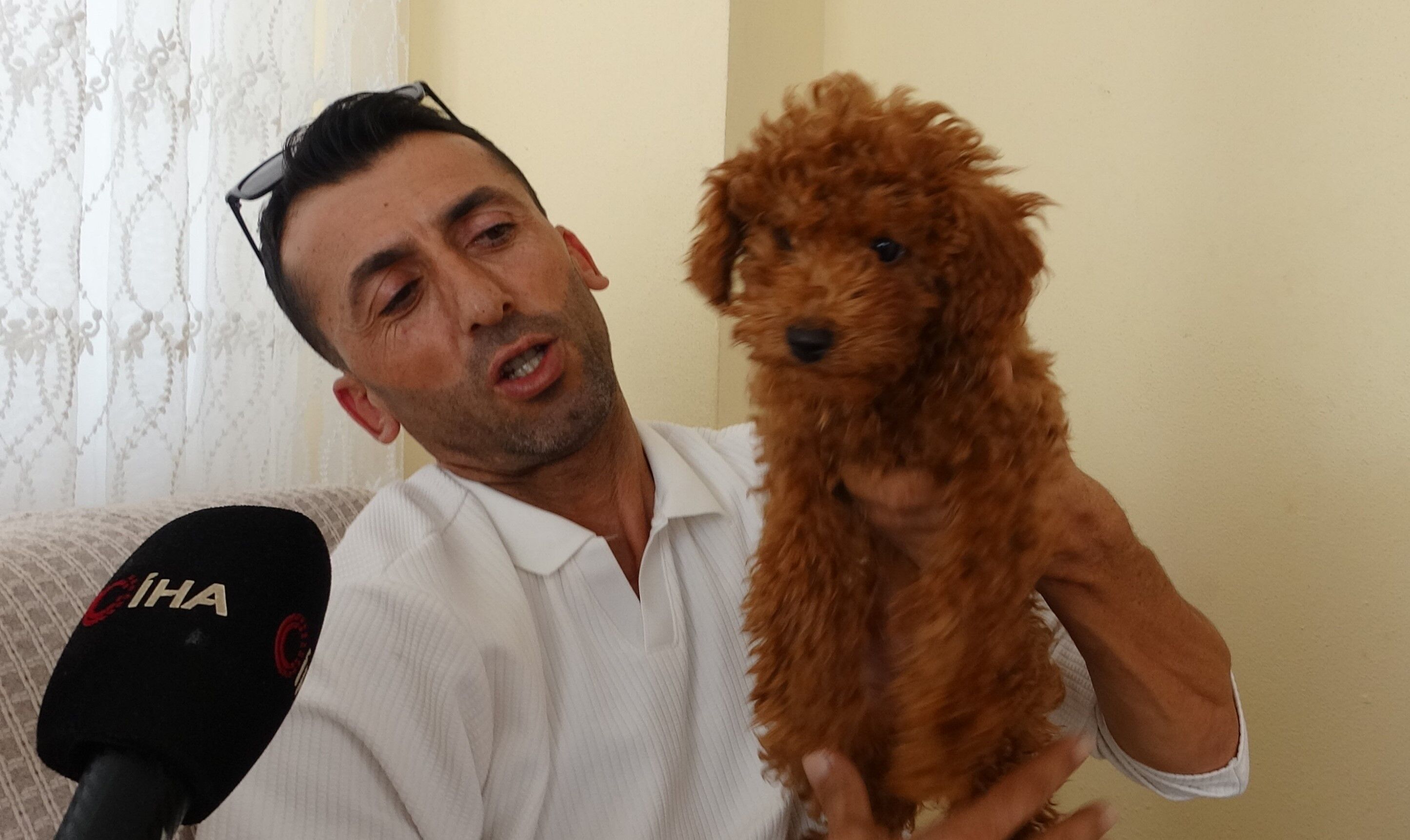 Necati Gurlevik Antalya Kayip Kopek Otobuste Bulundu5