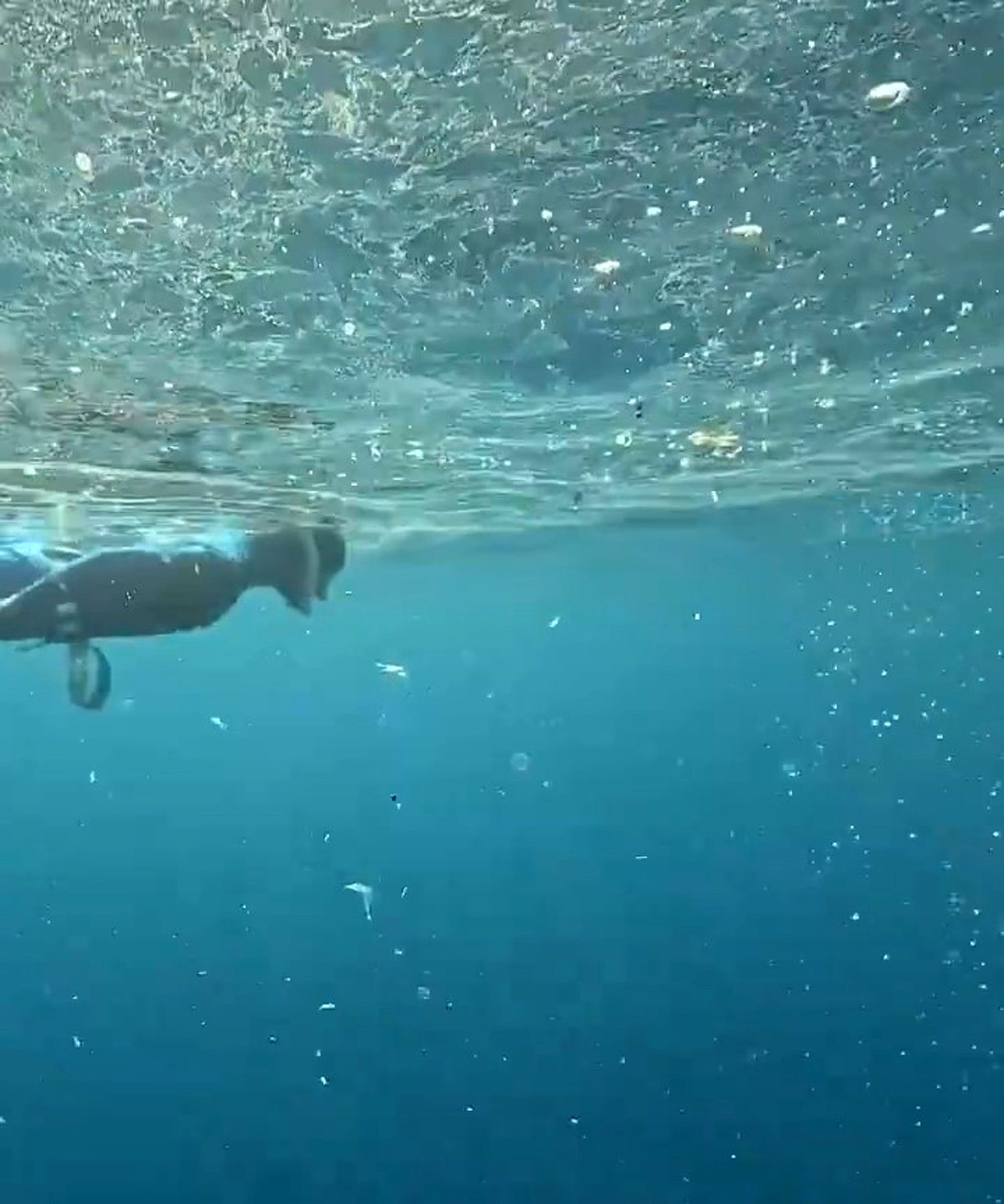 Yagis Deniz Plastik Kirliligi Antalya3