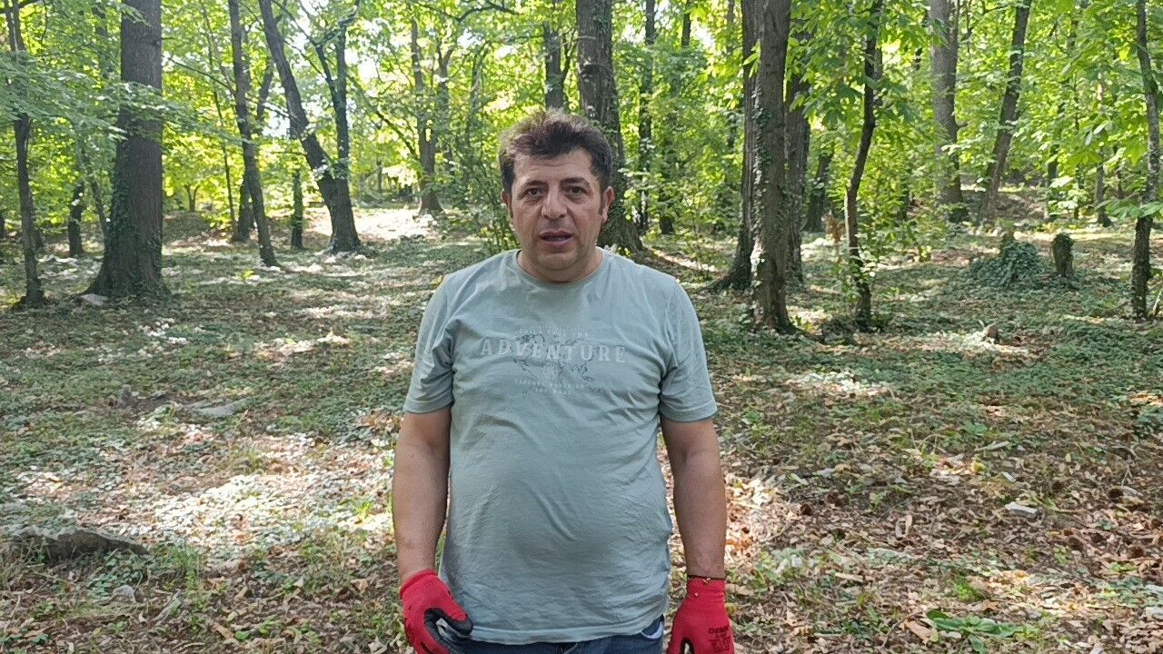 Zehirli Sarmasik Kestane Antalya Ibradi4