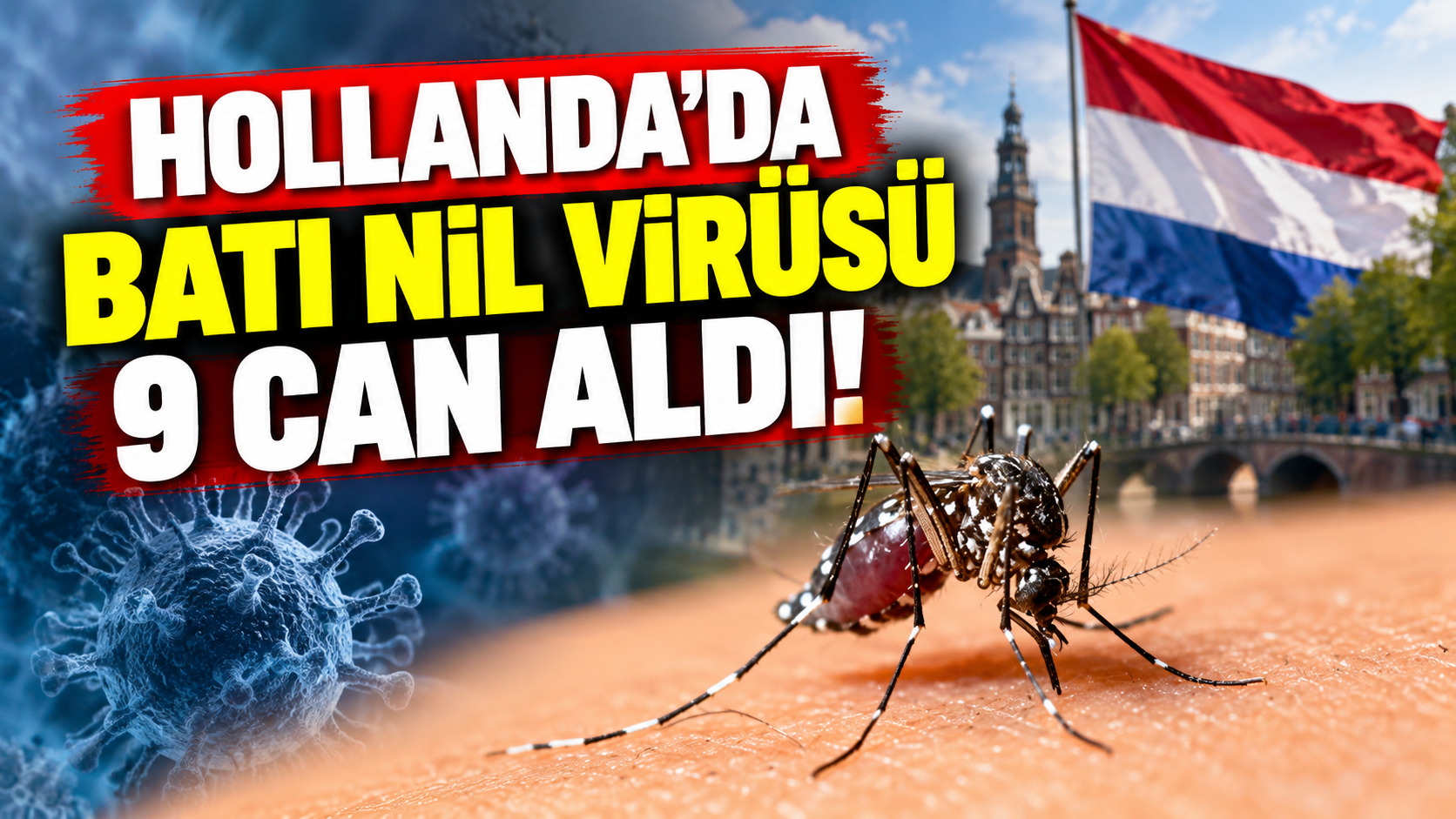 Hollanda’da Batı Nil virüsü 9 can aldı!