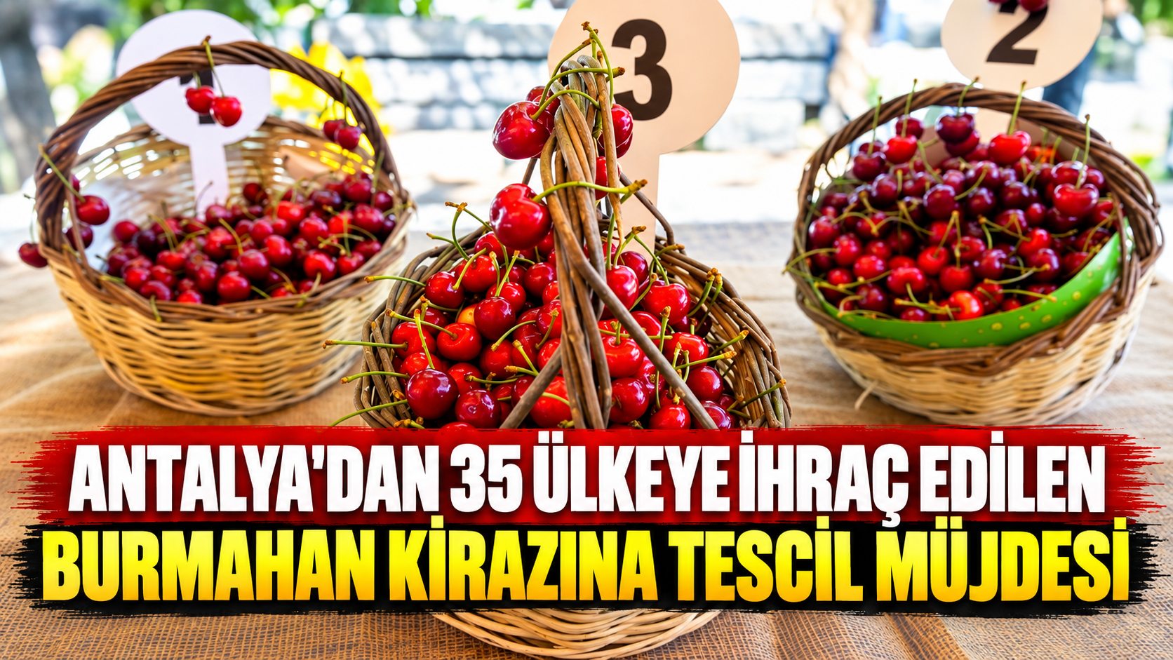 Antalya'dan 35 ülkeye ihraç edilen Burmahan kirazına tescil müjdesi