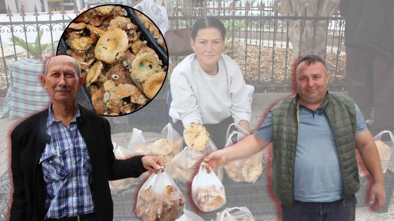 Antalya'nın doğal lezzeti yağmurdan sonra yeniden sofralarda!