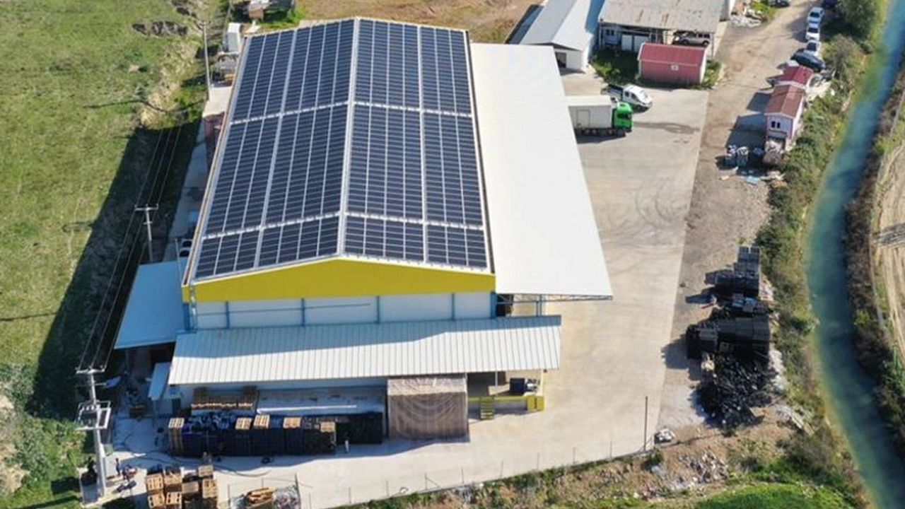 Antalya’da Nadir Fırsat: Serik’te Dev Arazi ve Soğuk Hava Tesisi İcradan Satılacak