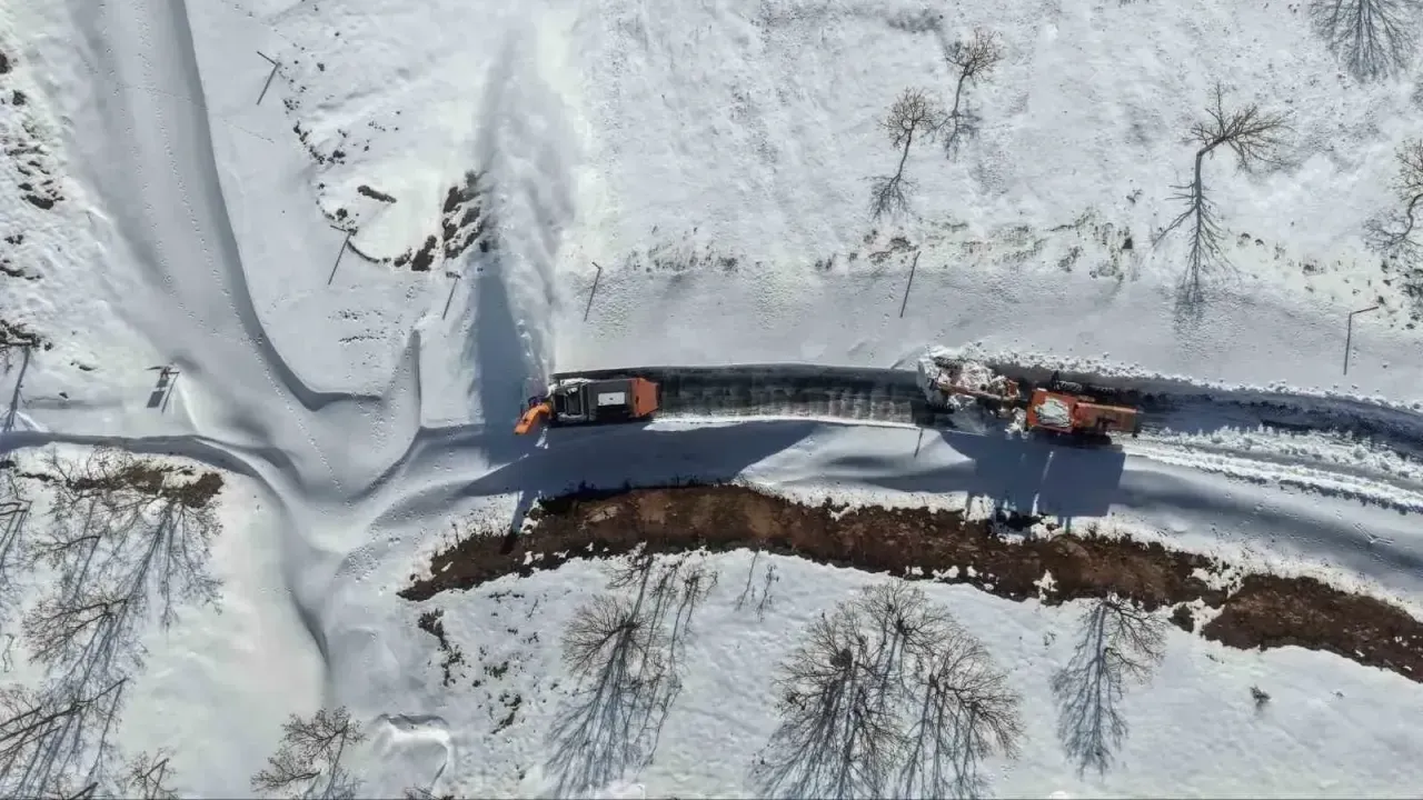 Yoğun kar ve tipi ulaşımı durdurdu: Hasköy-Mutki yolu kapatıldı 