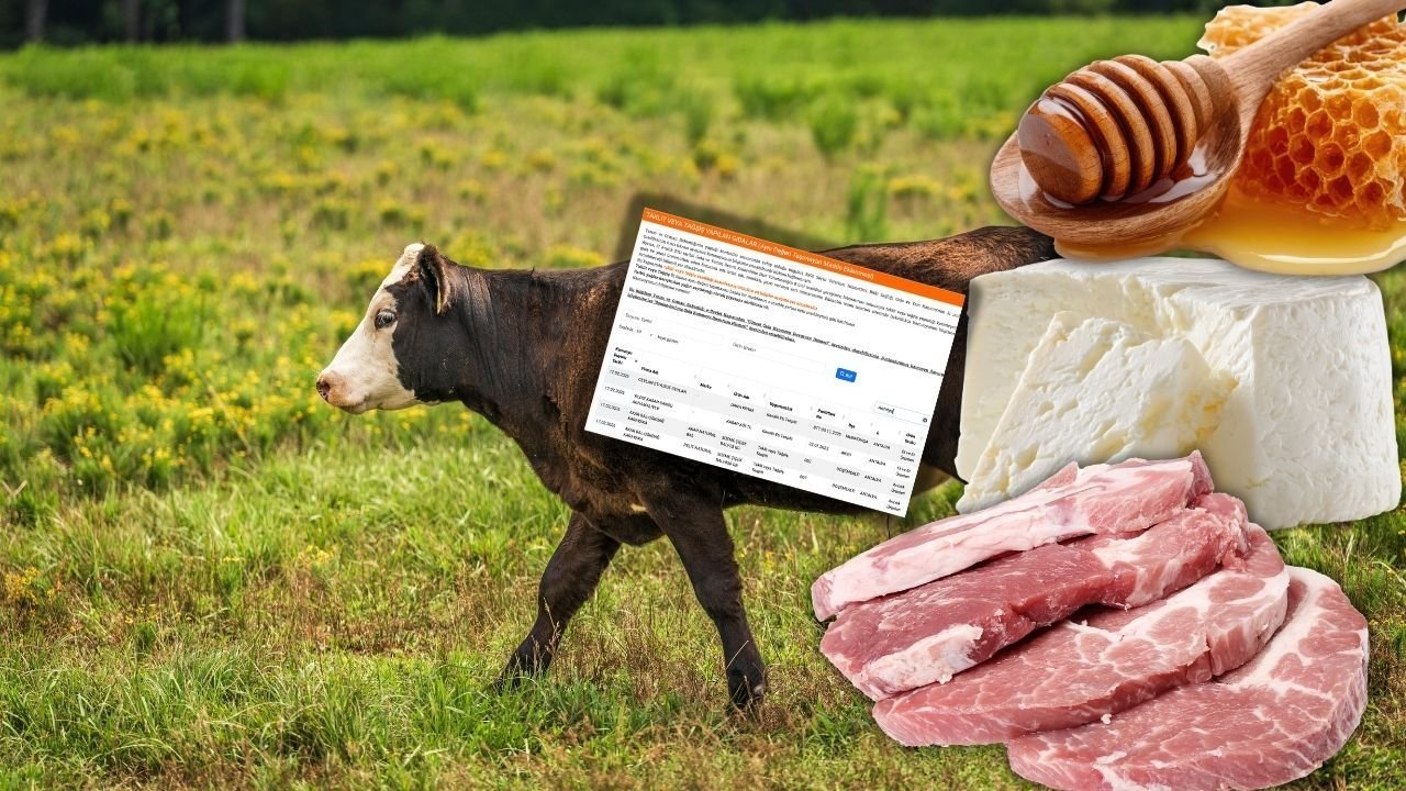 Antalya'da 4 firma daha o listede! Taklit ve tağşiş listesi güncellendi