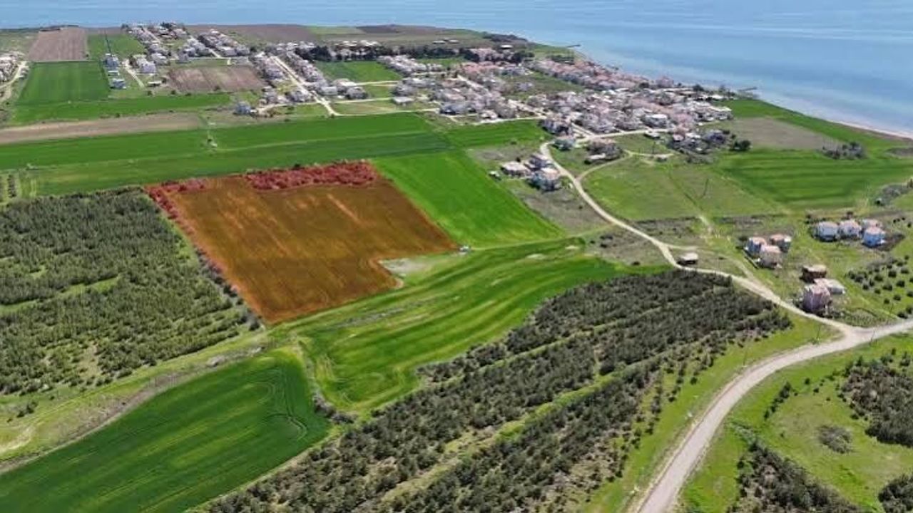 Antalya Alanya'da 13,5 Milyon TL Değerinde 3.584 m² Arsa İcradan Satışa Çıkarıldı
