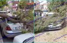 Antalya’da fırtına ağaçları devirdi, araçlar zarar gördü!