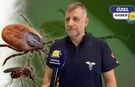 Antalya'da kene ve sivrisinek alarmı! "Artık çok geç, uçtuktan sonra işe yaramıyor!"