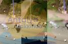 Antalya'daki feci kazada motosikletli hayattan koptu