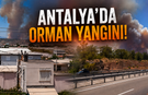 Antalya'da korkutan orman yangını! O anlar kamerada