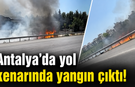 Antalya'da yol kenarında yangın çıktı! İşte o anlar